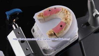 Standard Dental Lab Co., Limited خط إنتاج المصنع