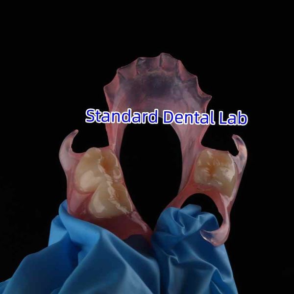 Standard Dental Lab Co., Limited خط إنتاج المصنع