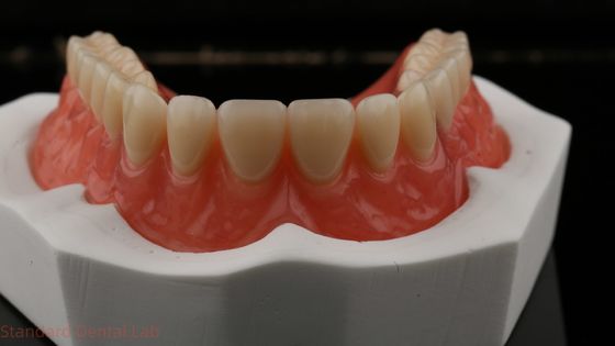 شراء دنتسبلي لوسيتون 199 أسنان أكريلية لطريقة طبيعية التصنيع عبر الإنترنت