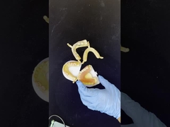 دنتسبلي لوسيتون 199 أسنان أكريلية لطريقة طبيعية