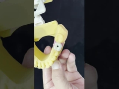 البورسلين كل على أربعة جسر الزركونيا جمالية عالية زرع الأسنان الجسر المسمار المحافظة