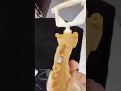 تاج الزركونيا الكامل / جمالي عالي طبيعي مخصص مساعد زركونيا جسر أسنان