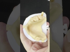 سبائك معدنية جزئية كوبالت كروم أسنان Ivoclar Scheftner